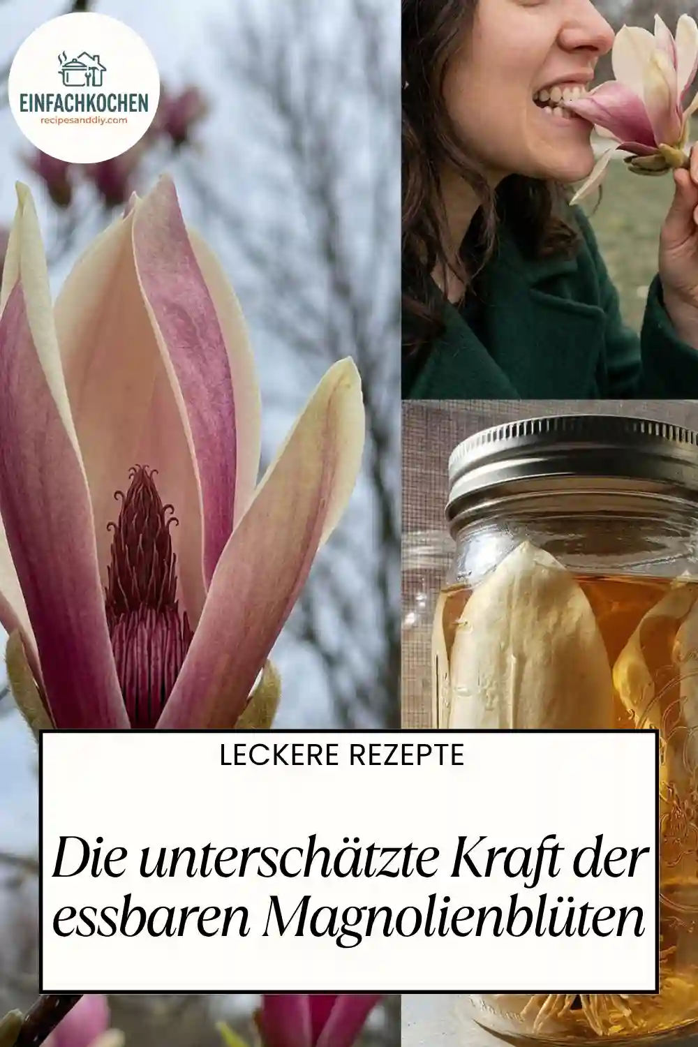 Mehr als nur Deko: Die unterschätzte Kraft der essbaren Magnolienblüten